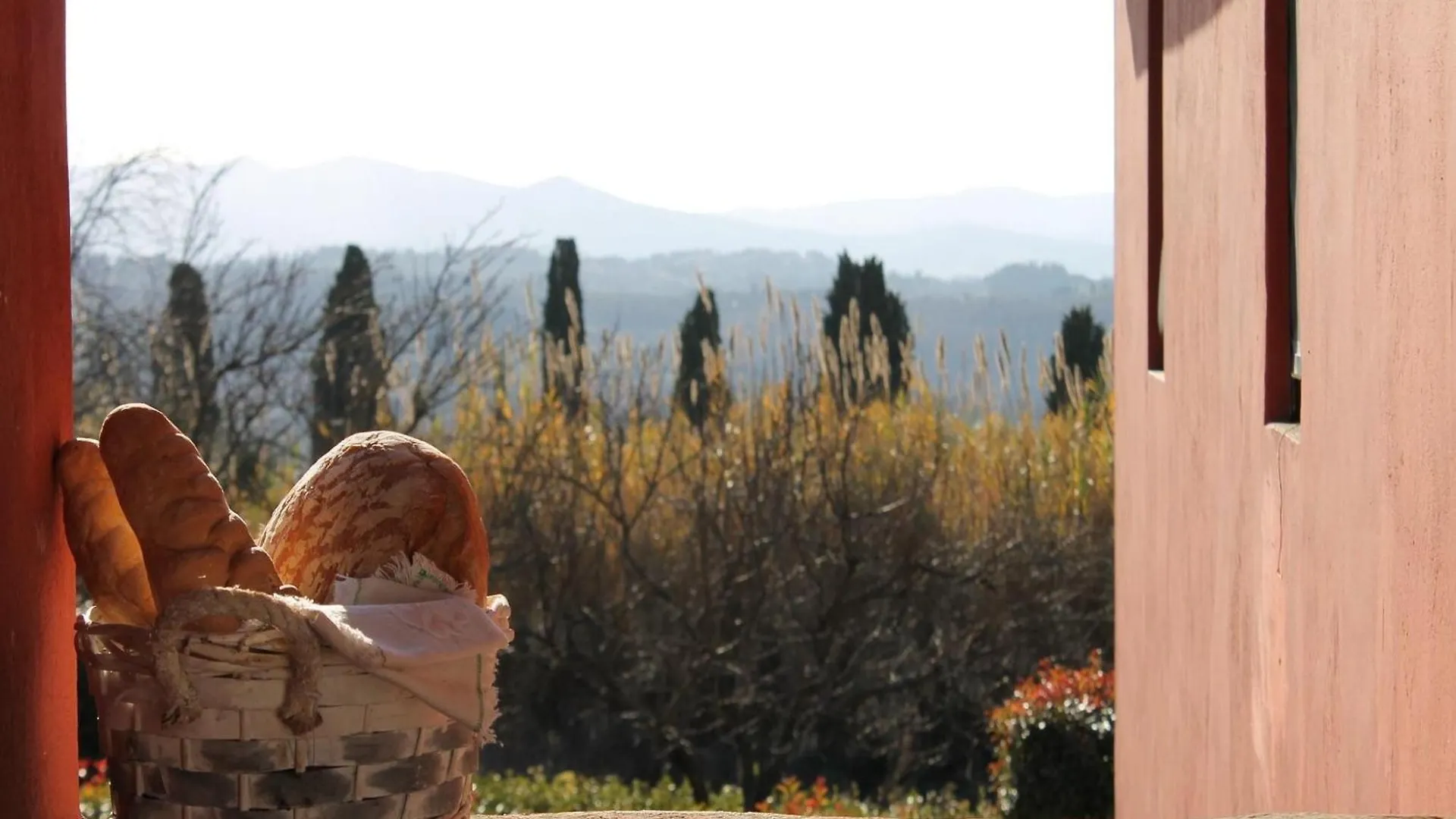 Holiday home Apartment With Large Garden And Pool On The Hills Of Pisa