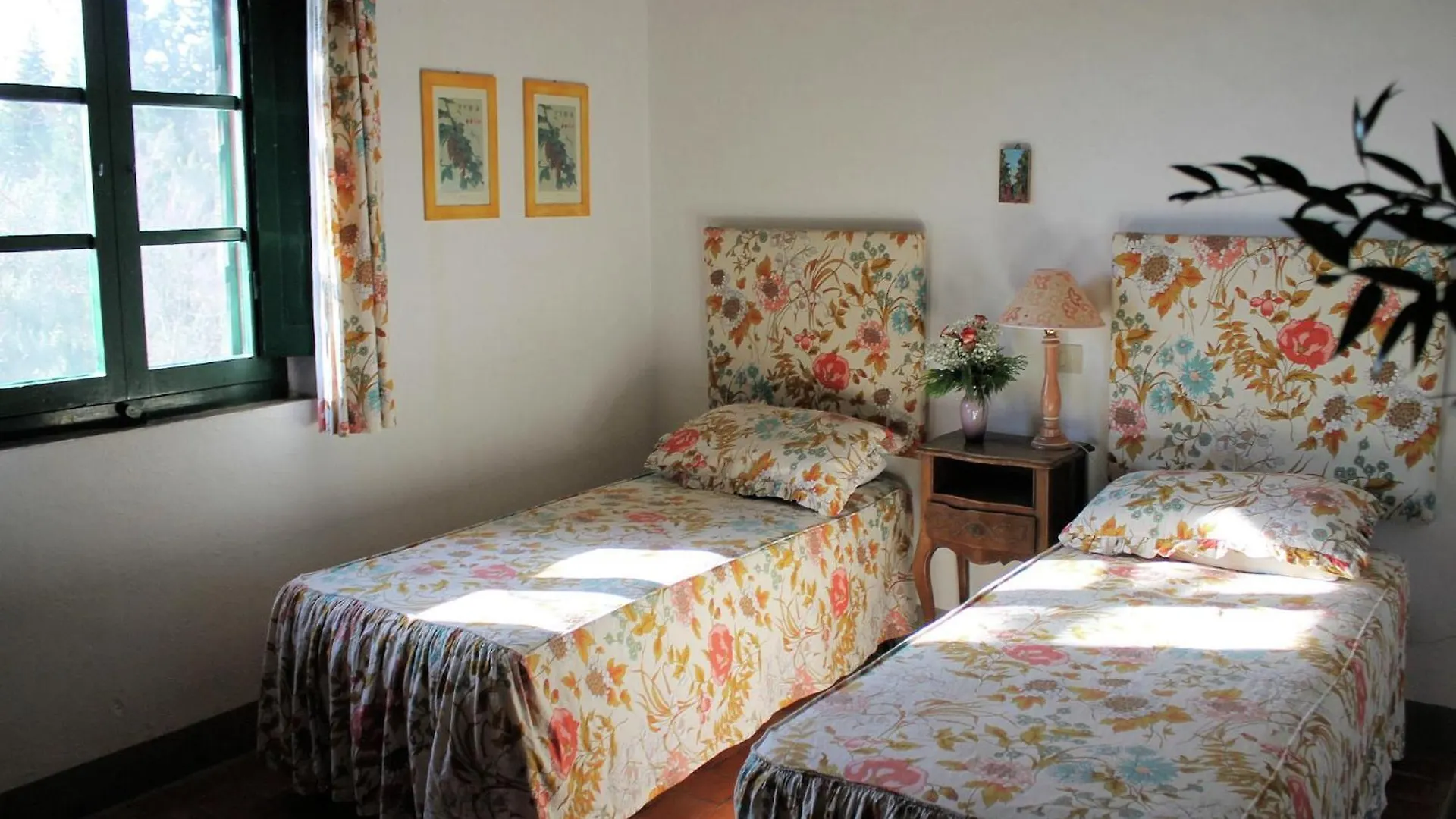 Apartment With Large Garden And Pool On The Hills Of Pisa Italy